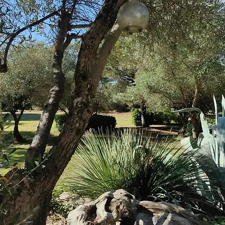 La Maison L'oliveraie Lunel (Herault)